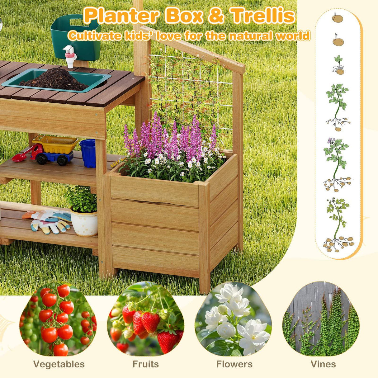 Wooden planter box with trellis and gardening tools on a grassy background