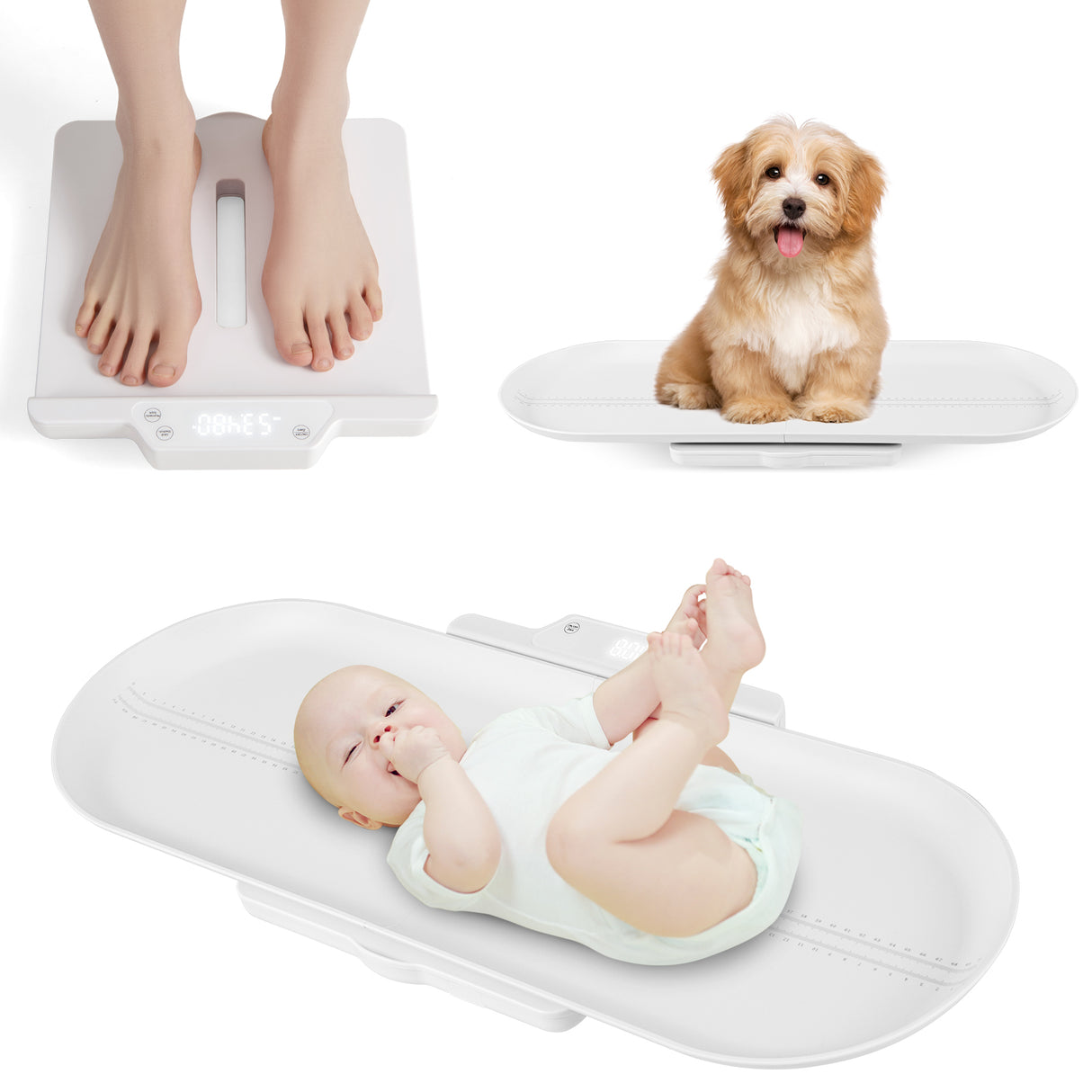 3 in 1 Infant Scale w/Detachable Tray for Body Weight & Height Measurement