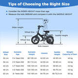 Children Training Bicycle with Handbrake and Coaster Brake