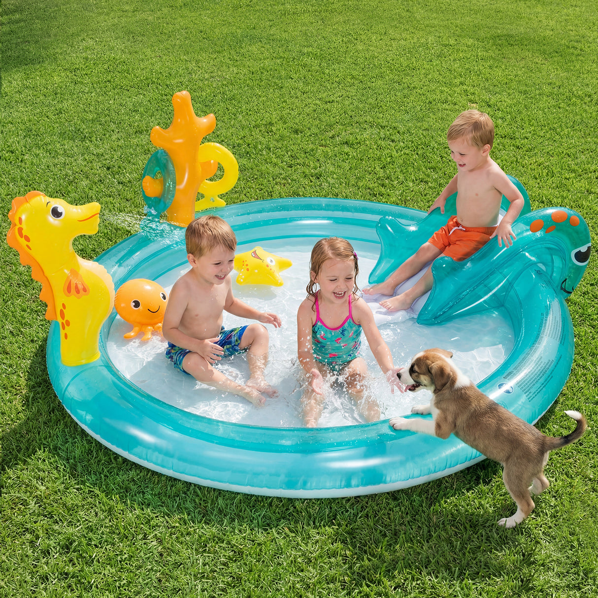 Inflatable Play Center, Marine Life Spray Pool with Slide, Seahorse-shaped Sprinkle