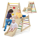 3-In 1 Jungle Gym, Indoor Playground for Toddlers with Extended Slide