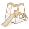 HONEY JOY 6-in-1 Jungle Gym Climber